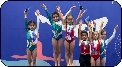 The group of young gymnasts